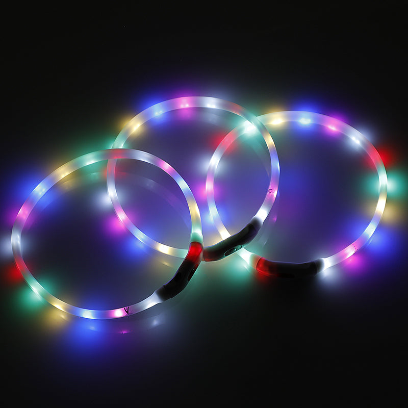Three USB rechargeable LED dog collar glowing in multiple colours