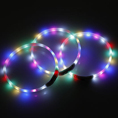Three USB rechargeable LED dog collar glowing in multiple colours