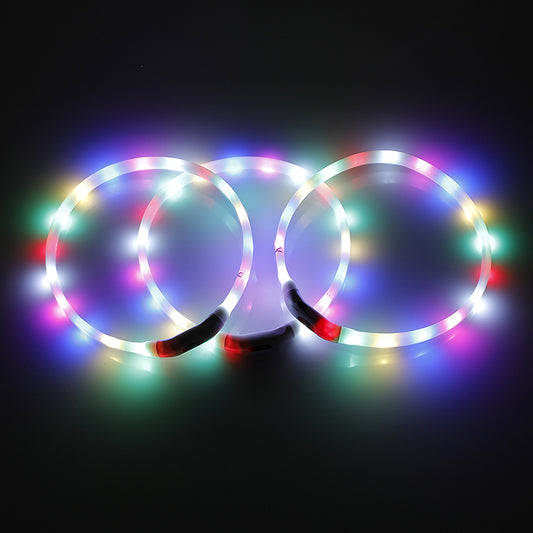 Three multi-colour LED safety collars for dogs in flashing light modes.