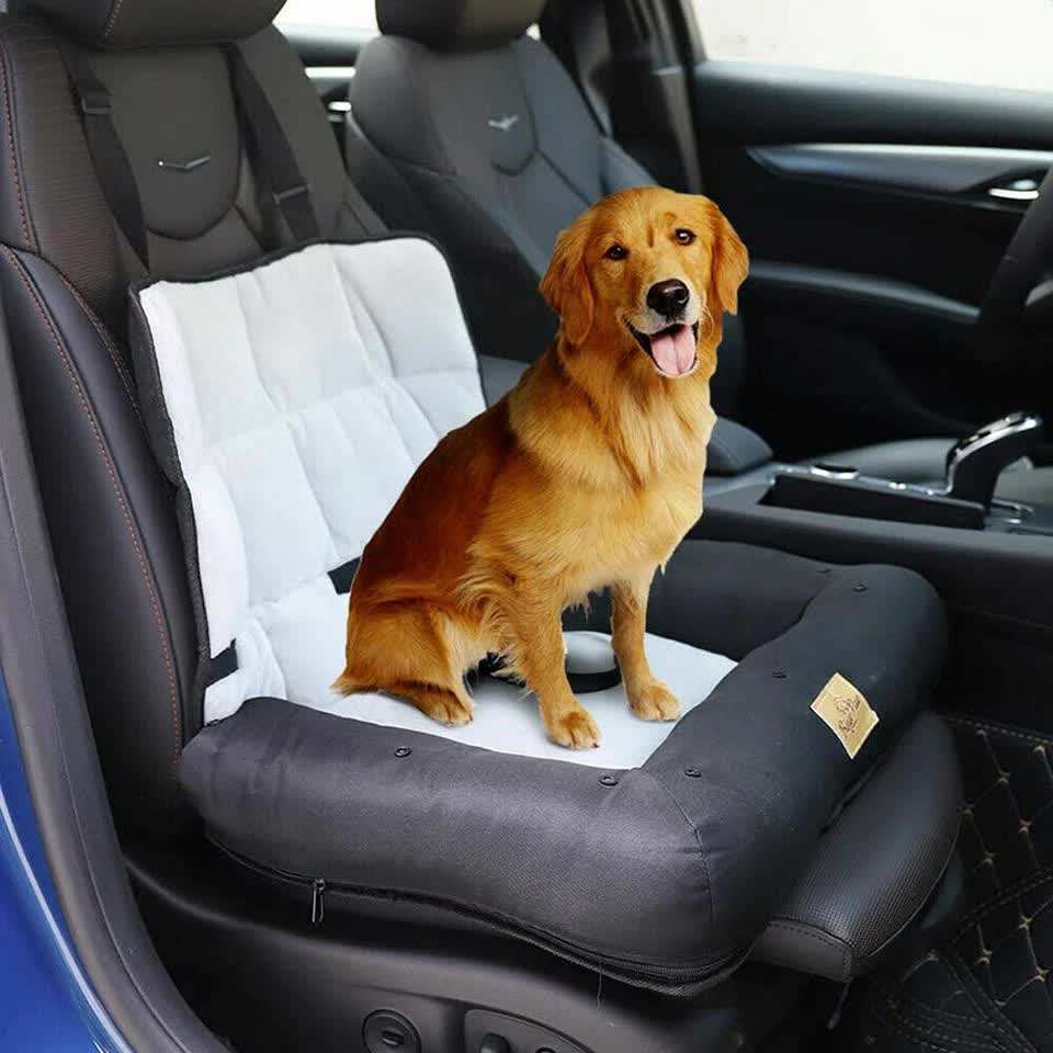 Golden Retriever sitting in small waterproof dog car booster seat